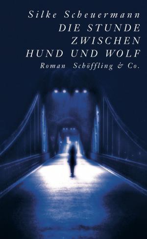 Cover of the book Die Stunde zwischen Hund und Wolf by Mirko Bonné