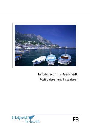 Cover of the book Modul F3: Positionieren und Inszenieren by Gerhard Gieschen, Claudia Schimkowski