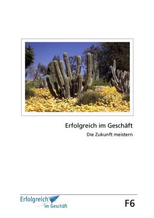 Cover of the book Modul F6: Die Zukunft meistern by Martina Caspary, Gerhard Gieschen