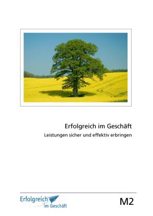 Cover of the book Modul 2: Leistungen sicher und effektiv erbringen by Claudia Schimkowski, Gerhard Gieschen