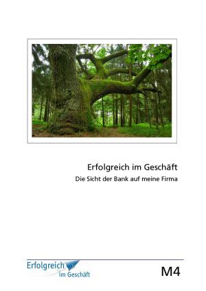 Cover of the book Modul 4: Die Sicht der Bank auf meine Firma by Martina Caspary, Susanne Kriegelstein, Gerhard Gieschen