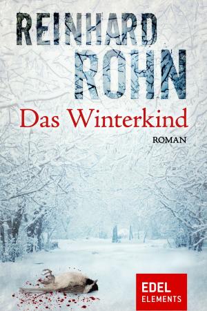 Cover of the book Das Winterkind by Sophia Farago