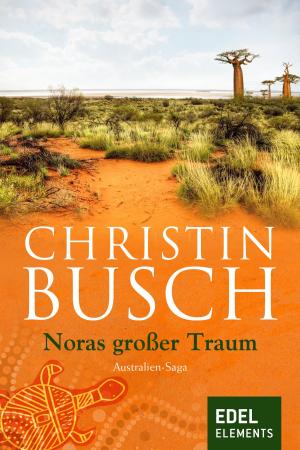 Cover of the book Noras großer Traum by Susanne Fülscher
