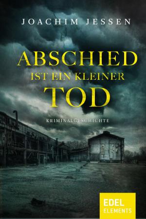 Cover of the book Abschied ist ein kleiner Tod by Michaela Thewes, Leonie Bach, Katryn Berlinger