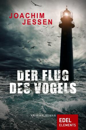 Cover of the book Der Flug des Vogels by Rebecca Maly