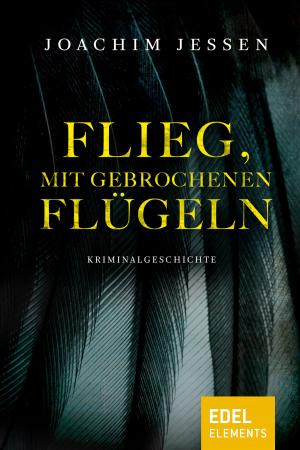 Cover of the book Flieg, mit gebrochenen Flügeln by Julie Smith