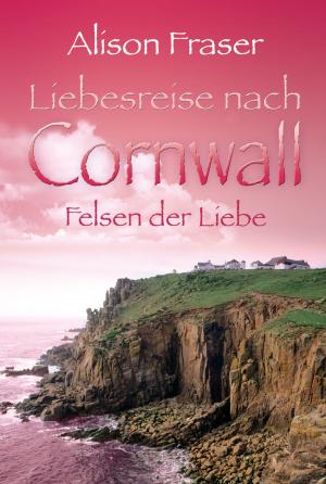 Cover of the book Felsen der Liebe by Tanja Janz