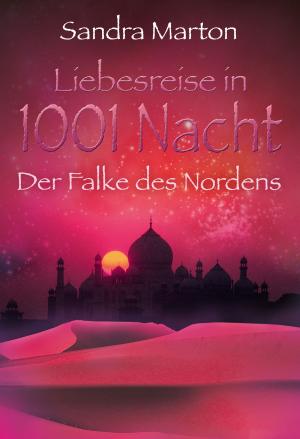 Cover of the book Der Falke des Nordens by Janet Mullany