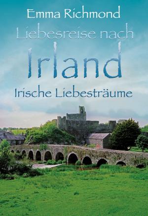 Cover of the book Irische Liebesträume by Rachel Lee