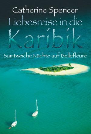 Cover of the book Samtweiche Nächte auf Bellefleure by Caroline Roberts