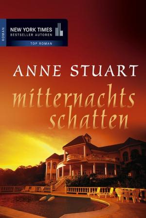 Cover of the book Mitternachtsschatten by Robert Steacy