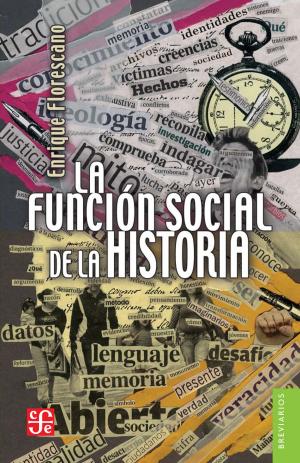 Cover of the book La función social de la historia by Rafael Solana, Claudio R. Delgado