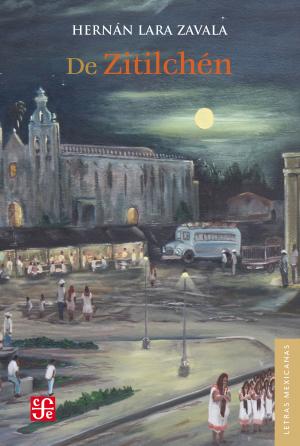 Cover of the book De Zitilchén by Angelina Muñiz-Huberman