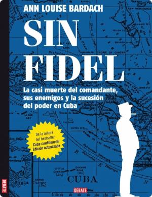 Book cover of Sin Fidel