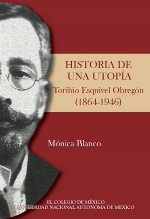 Cover of the book Historia de una utopía. by Patricia Funes
