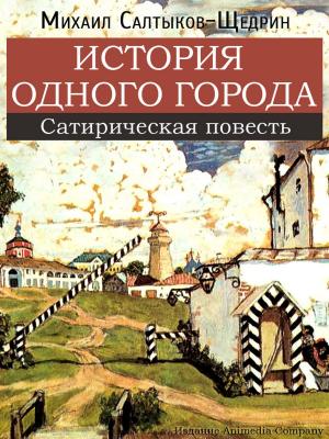 Book cover of История одного города