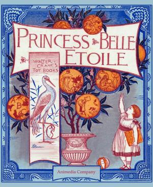 Cover of the book Princess Belle-Etoile (Illustrated edition) by Николай Михайлович Карамзин