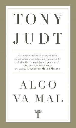 Cover of the book Algo va mal by Martín Rodríguez-Gaona