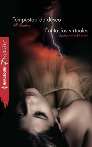 Book cover of Tempestad de deseo - Fantasías virtuales