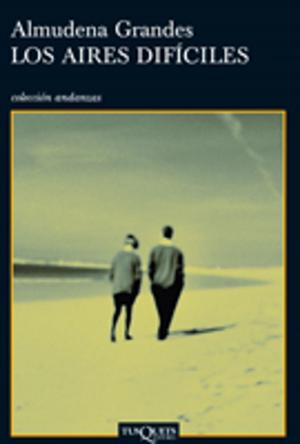 Cover of the book Los aires difíciles by Michael E. Porter