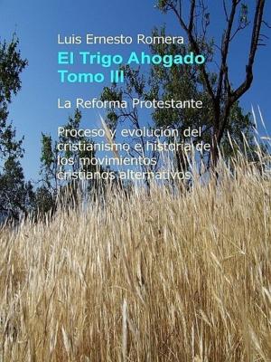 Cover of the book Trigo Ahogado tomo III by Stefan Antony Salinas