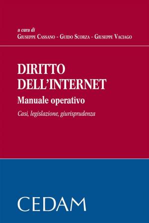 bigCover of the book Diritto dell'internet. Manuale opertivo. Casi, legislazione, giurisprudenza by 