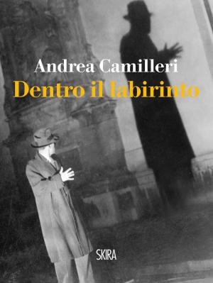 Cover of the book Dentro il labirinto by Antonia Arslan