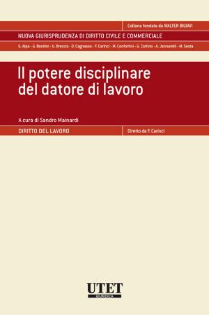 Cover of the book Il potere disciplinare del datore di lavoro by Daniela Valentino