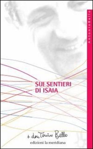 Cover of the book Sui sentieri di Isaia by José María Castillo