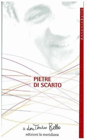 Cover of the book Pietre di scarto. Pagine sulla marginalità by don Tonino Bello