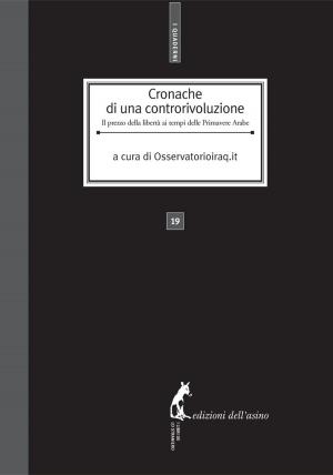 Cover of the book Cronache di una controrivoluzione. Il prezzo della libertà ai tempi delle Primavere Arabe by Edmondo Marcucci