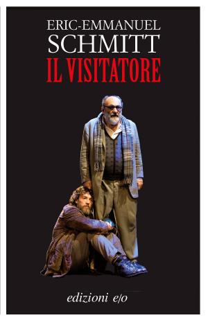 bigCover of the book Il visitatore by 