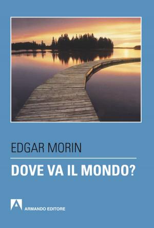 Cover of the book Dove va il mondo? by John Elder Robison