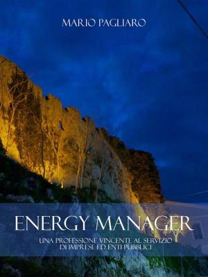 Book cover of Energy manager: Una professione vincente al servizio di imprese ed enti pubblici
