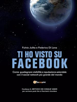 Cover of the book Ti ho visto su Facebook by Aurelio Nicolazzo