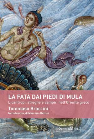 Book cover of La fata dai piedi di mula
