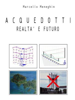 Cover of the book Acquedotti realtà e futuro by Francesco Di Pietro