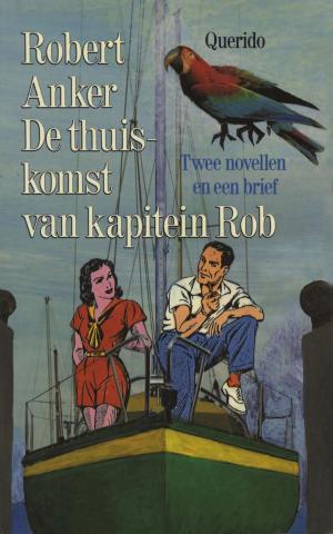 Cover of the book De thuiskomst van kapitein Rob by Toon Tellegen