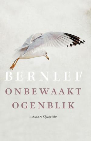 Cover of the book Onbewaakt ogenblik by Henning Mankell