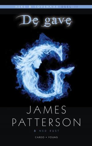 Cover of the book De gave by James Patterson