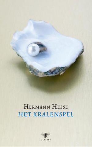 Cover of the book Het kralenspel by Daan Heerma van Voss