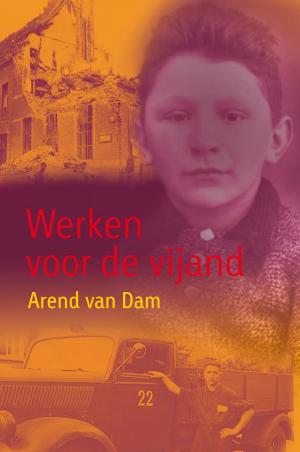 Cover of the book Werken voor de vijand by Marjon Hoffman