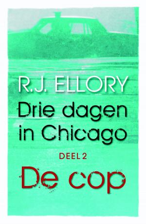 Cover of the book Drie dagen in Chicago by Johanne A. van Archem