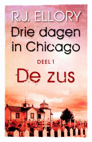 Cover of the book Drie dagen in Chicago by Lody van de Kamp