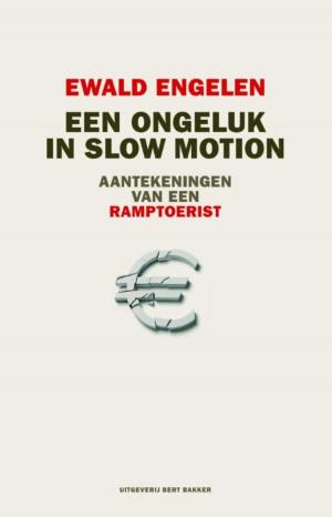 Cover of the book Een ongeluk in slow motion by Leon M. Lederman, Christopher T. Hill