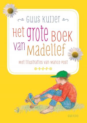 Cover of the book Het grote boek van Madelief by Herman Chevrolet