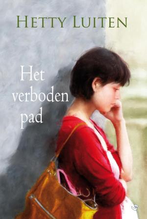 Cover of the book Het verboden pad by Julie Klassen