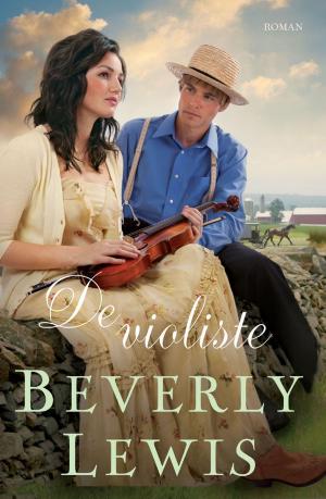 Cover of the book De violiste by Deborah Raney
