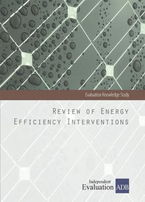 bigCover of the book Review of Energy Efficiency Interventions by 