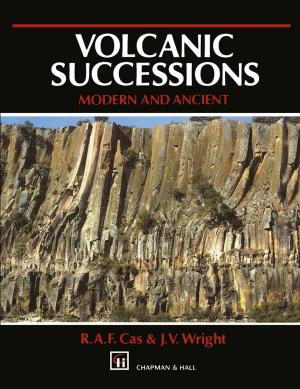 Cover of the book Volcanic Successions Modern and Ancient by D.F. Kehoe